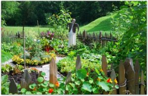 Faith & Fitness Magazine Highlights 6 Garden Tips, beautiful green garden with orange flowers and veggies with a scarecrow in the background