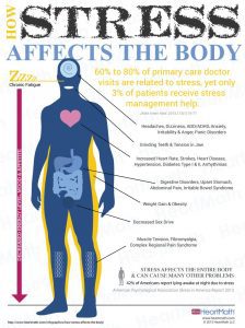 Is stress affecting your physical health, picture of the human body with arrows pointing to areas affected by stress