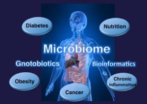 Is stress affecting your physical health, blue picture of the human body with the word "microbiome" in the middle