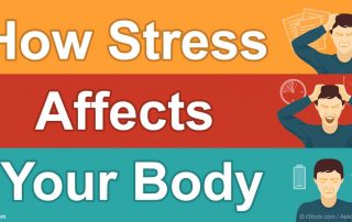 Stress, Fat, and Faith, a picture of the words "how stress affects the body" in orange red and blue