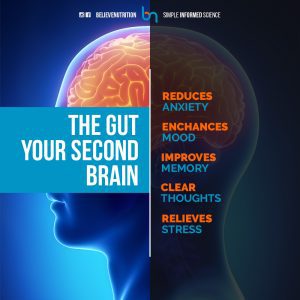 Your Gut is Your Second Brain, blue and orange picture of a brain with a line down the middle and listing all the things your gut controls for your brain