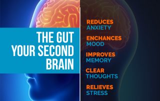Your Gut is Your Second Brain, blue and orange picture of a brain with a line down the middle and listing all the things your gut controls for your brain