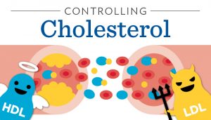 One Woman's Journey to Balance her Cholesterol, picture of good and bad cholesterol cartoon guys