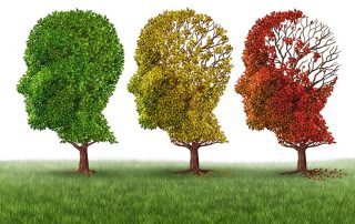 3-2-1-Go to Sleep! Here's Why... (Part 2), Head shaped trees in fall progression. Memory loss concept