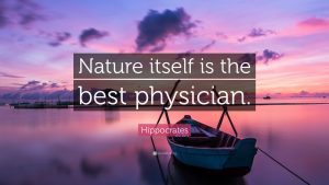Nature Itself is the Best Physician
