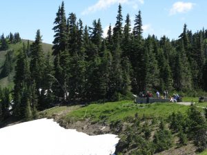 Snow in Summer - one of the many site you see in Olympic National Park during Week 8 of Challenge the National Parks!