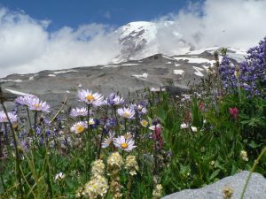 Mt. Ranier, one stop on MissionFiT's Challenge the National Parks! Week 7