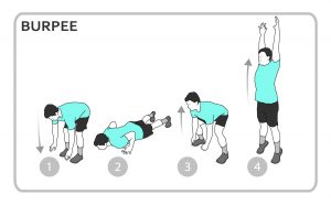 Picture of how to do a burpee