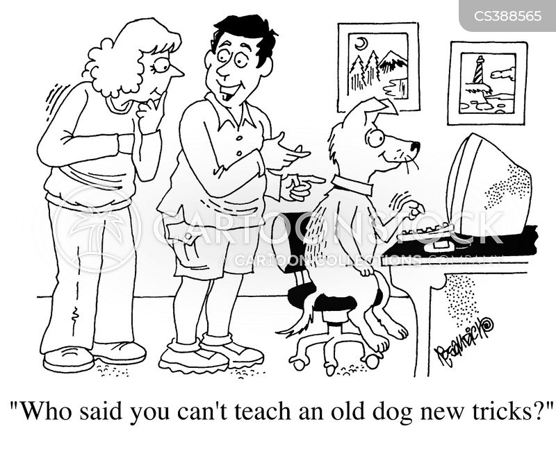 Dog new tricks. You can t teach an old Dog New Tricks. Teach an old Dog New Tricks. Old Dog, New Tricks. Can't teach an old Dog New Tricks идиома перевод.